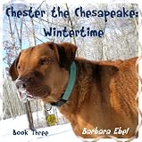 Chester the Chesapeake: Wintertime