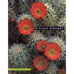 Plant Biology (Non-InfoTrac Version) (Wadsworth Biology Series)