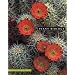 Plant Biology (Non-InfoTrac Version) (Wadsworth Biology Series)
