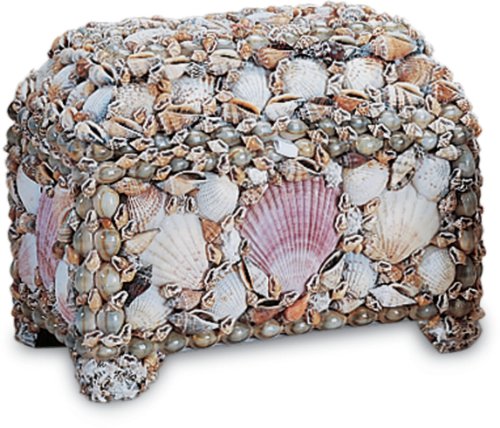 Currey and Company 1241 Jewelry Box, Natural Shell Finish