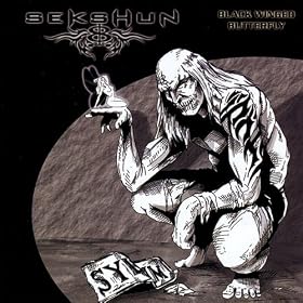 Black Wing Butterfly