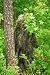 Synthetic Pants - New GhillieSuits Synthetic Ultra-Light Ghillie BDU Pants Woodland L Fire Retardant Water Repellant