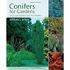 Conifers for Gardens: An Illustrated Encyclopedia