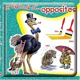 My Big Book of Opposites