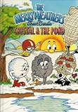 Crystal & the Pond (The Merryweathers)