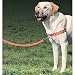 Reflective Easy Walk Harness, Medium/Large, Black with 1 x 6' Leash