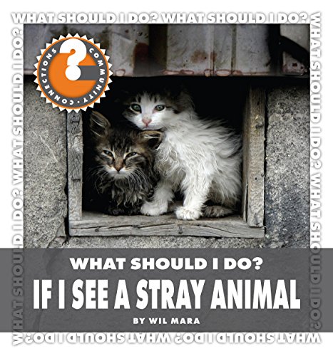What Should I Do? If I See a Stray Animal (Community Connections: What Should I Do?)