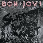 Click here to buy Slippery When Wet by  Bon Jovi .