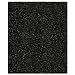 Hamilton Beach  04922 TrueAir Replacement Carbon Filters for 04160 & 04161 Air Cleaners, 3-Pack