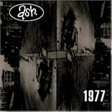 Picture Of 1977 (Ash)