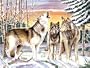 Paint by Numbers Paint Set - Wolf Scene