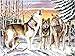 Paint by Numbers Paint Set - Wolf Scene