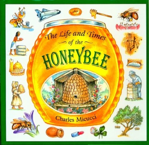 Insects