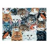 Ravensburger 300 Piece Large Formet Edition - Cat Lover Image Ravensburger 300 Piece Large Formet Edition - Cat Lover