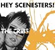 Hey Scenesters!