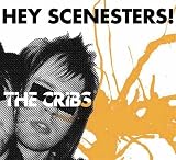 Hey Scenesters!