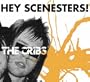 Hey Scenesters