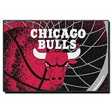 Chicago Bulls 39" x 59" Tufted Rug