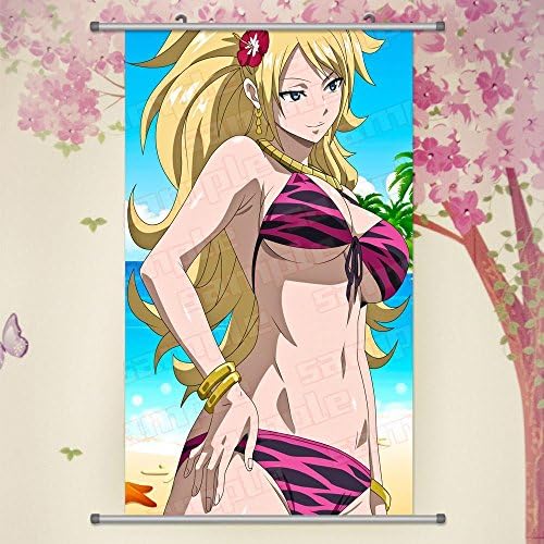 A Wide Variety of Fairy Tail Anime Characters Wall Scroll Hanging Decor (Jenny Realight 1)