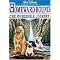 My Favorite Adventure Movies