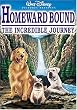 Homeward Bound - The Incredible Journey