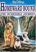 Buy Homeward Bound - The Incredible Journey Blu-Ray at Amazon..