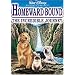 Homeward Bound - The Incredible Journey
