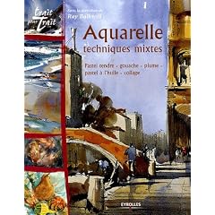 Aquarelle : Techniques mixtes