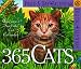 Book Original 365 Cats Page-A-Day Calendar 2002