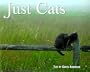 Just Cats