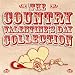 Our Song (Bluegrass Tribute to Taylor Swift) cover