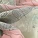Women's Voile Soft Long Scarf Eiffel Tower Printed Wrap Shawl Stole Scarves