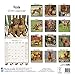 Vizsla Calendar - Only Dog Breed Vizsla Calendar - 2016 Wall calendars - Dog Calendars - Monthly Wall Calendar by Avonside
