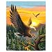 Paint By Number Kit 16"X20"-Eagle