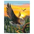Paint By Number Kit 16"X20"-Eagle