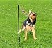 Highland Farms Select Dog Retractable Interactive Training Tug Toy - Pet Obedience Training Tug - Stable Exercise Metal Pole & Spring Rod Replaceable Chew Rope Small/Medium/ Large Dogs