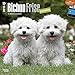 Bichon Frise Puppies 2015 Wall Calendar