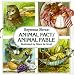 Animal Fact/Animal Fable