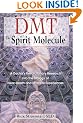 Dmt Spirit Molecule