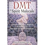 Dmt Spirit Moleculeby Rick Strassman
