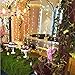 Naisidier 40 LED Battery Operated String Lights 14ft Warm Color for Garden Party and Holiday Decoration (Warm White)