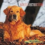 Golden Retrievers Calendar - 2016 Wall calendars - Dog Calendars - Monthly Wall Calendar by Magnum