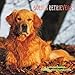 Golden Retrievers Calendar - 2016 Wall calendars - Dog Calendars - Monthly Wall Calendar by Magnum