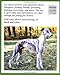 Whippets: Everything About Purchase, Adoption, Care, Nutrition, Behavior, and Training (Barron's Complete Pet Owner's Manuals)