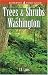 Trees and Shrubs of Washington 61GQ51PAK9L. SL75 Kalm St. Johnswort