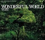 WONDERFUL WORLD