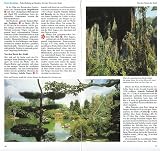 Produkt-Bild: ADAC Reisef&uuml;hrer, Dominikanische Republik