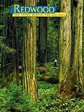 Redwood: The Story Behind the Scenery