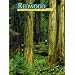 Redwood: The Story Behind the Scenery (German Edition)
