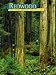 Third Party New : Redwood: The Story Behind the Scenery
